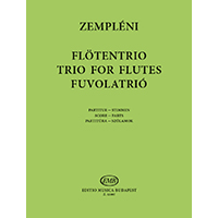 フルート3重奏:フルートのための三重奏曲/ラースロー・ゼンプレーニ【アンサンブル輸入楽譜】
