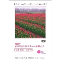 【DVD-R】1団体演奏収録／大学・職場・一般／第65回全日本合唱コンクール全国大会